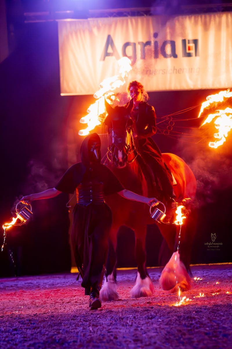 Shire Horse Linn mit Feuerflügeln